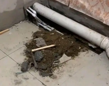 神农架林卫生间漏水检测哪家好