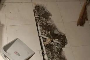 神农架林卫生间漏水检测电话